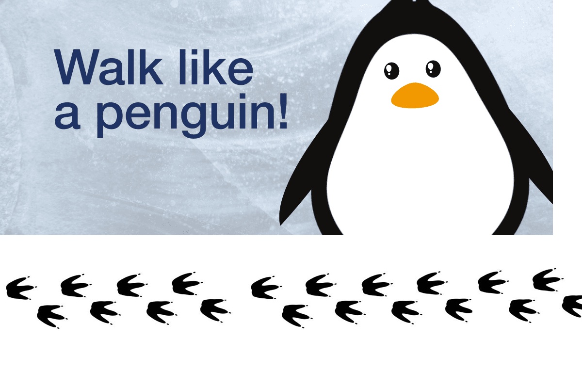 Image of penguin and footprints.