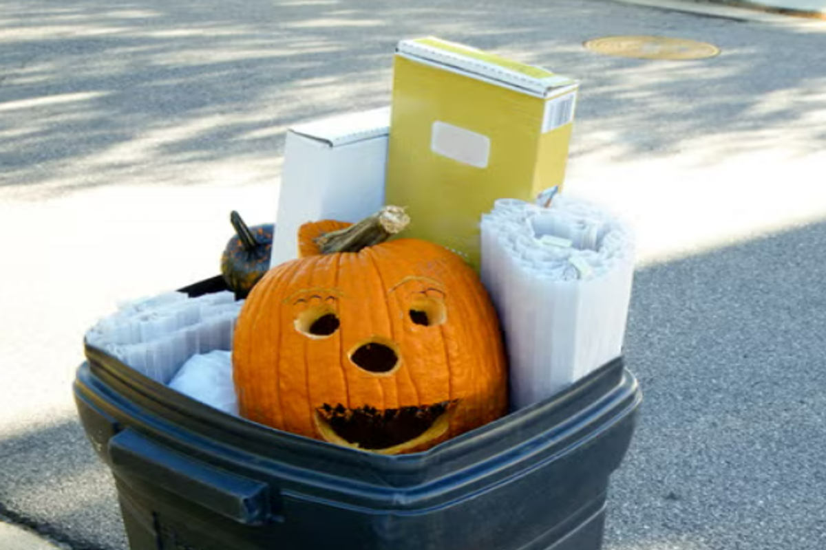 Carved pumpkin in a garbage bin.